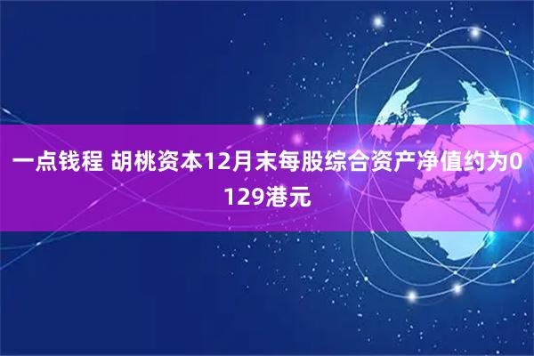 一点钱程 胡桃资本12月末每股综合资产净值约为0129港元
